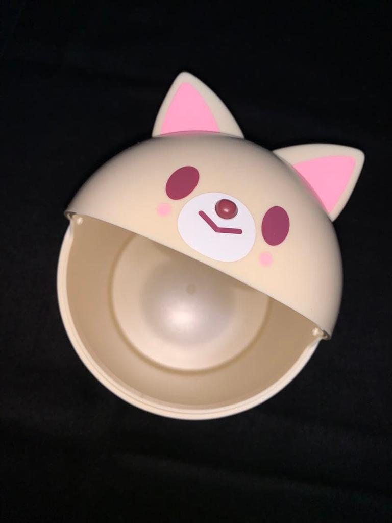 [USED] Straykids Skzoo Foxiny Trashbin Ien