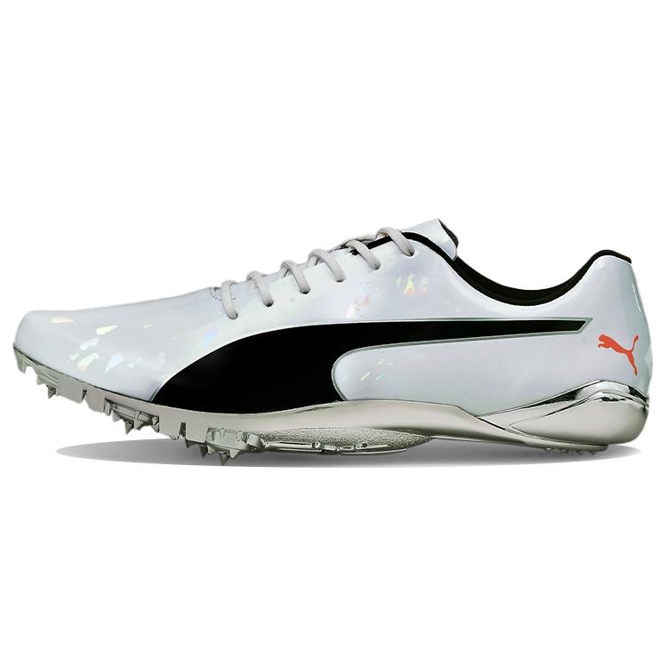 PUMA evoSPEED Electric 10 Grey Men s 194475-01 EU 38