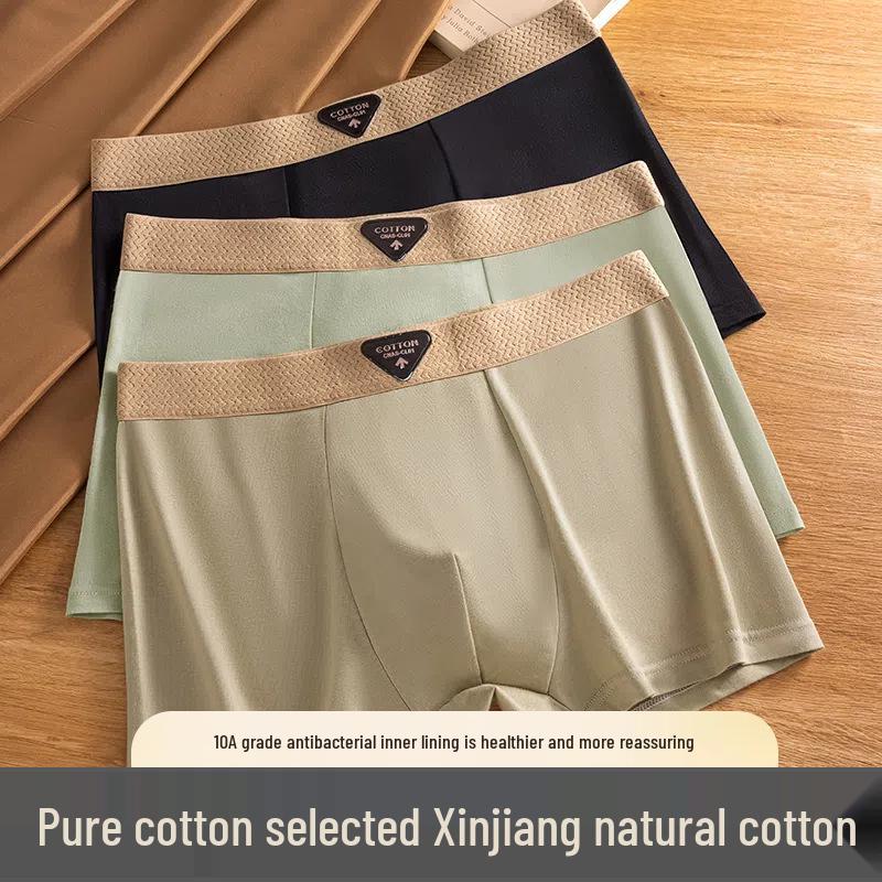 Men's 10A Antibacterial Cotton Boxer Briefs - Mid-Rise, Breathable Square Leg Underwear, Youthful Trend Shorts, Plus Size Available.