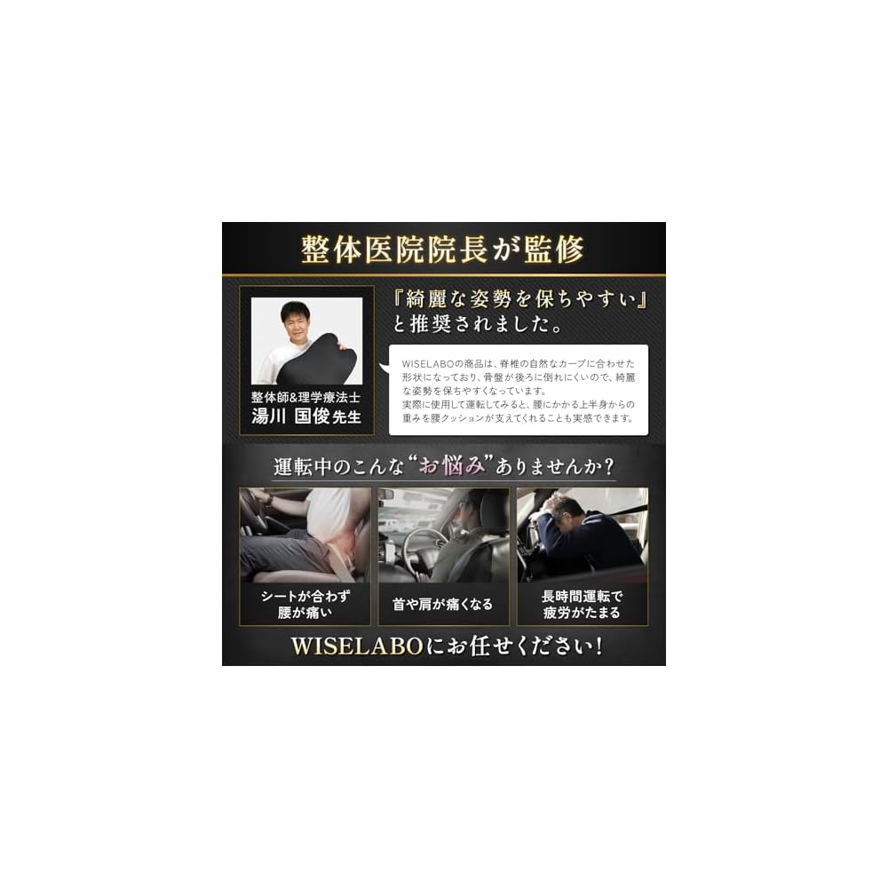 WISELABO [Supervised by a Chiropractor] Lumbar Support Cushion for Car Backrest, Low Rebound Mesh,