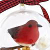 Nature's Birds Ball Ornament 3D Animal Clear Plastic Ball Decoration Christmas Tree Memorial Gift for Bird Lovers