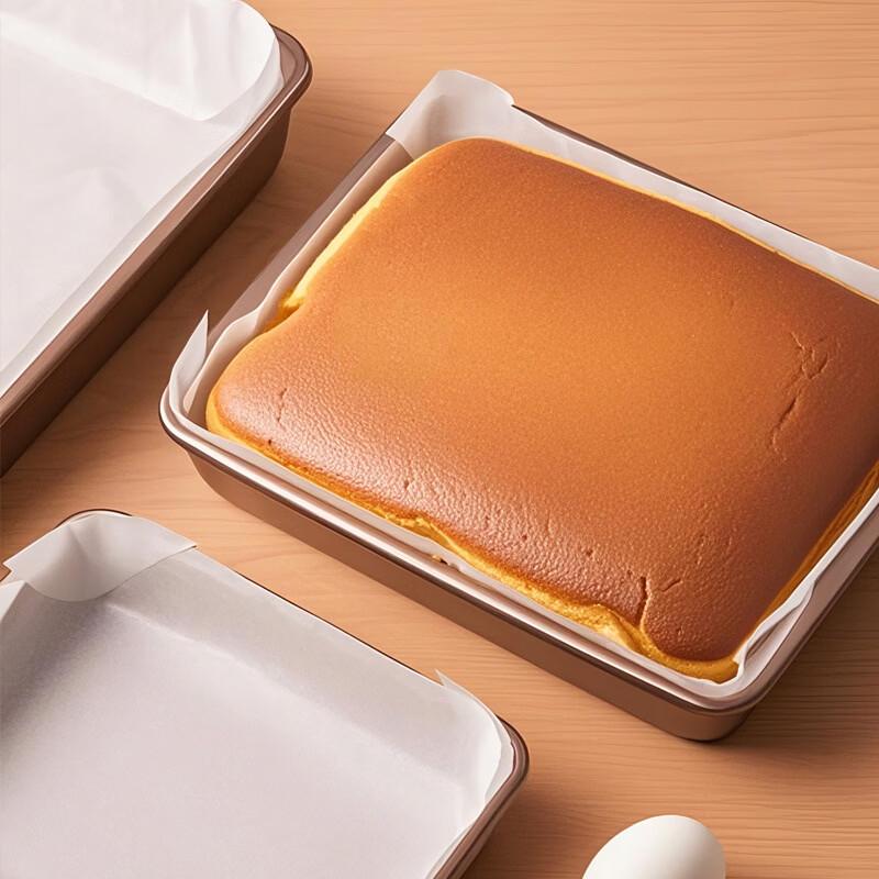 Diorain Non-Stick Baking Parchment Paper, 2 Rolls x 50 Sheets