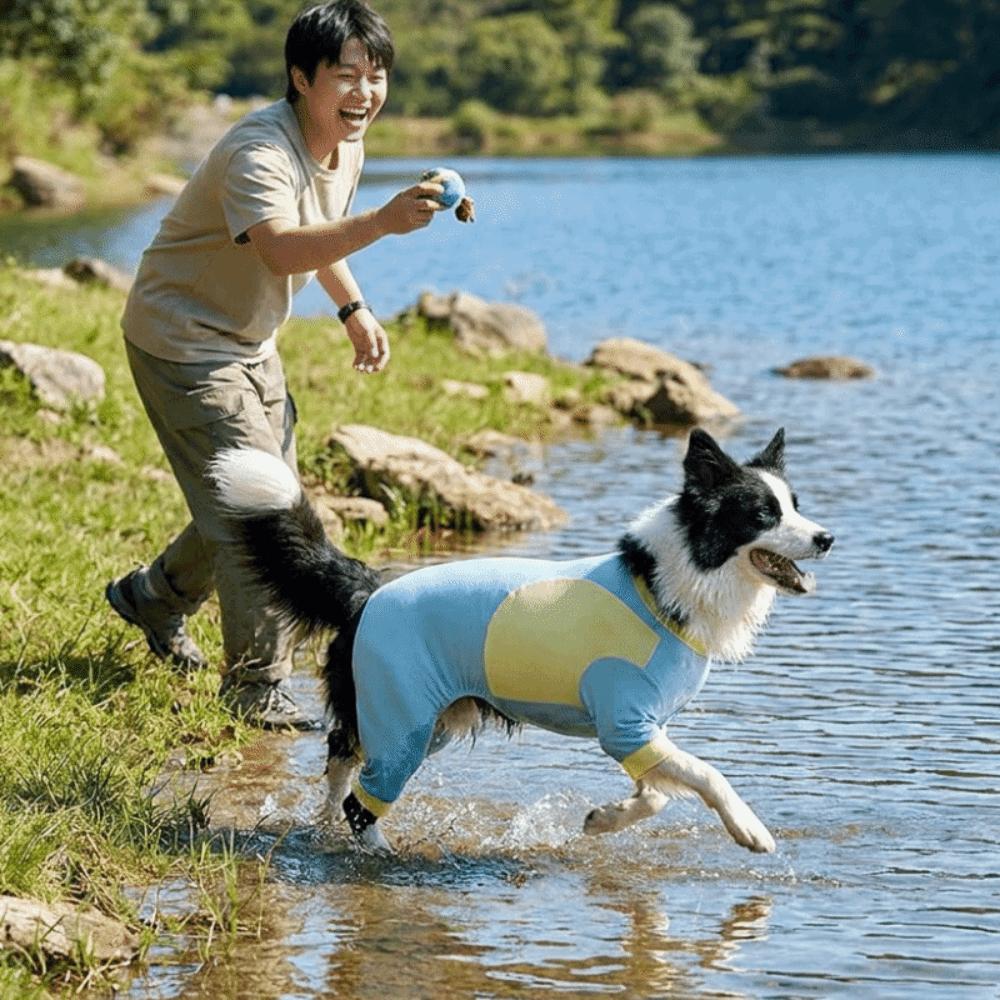 Cool Feeling Dog Sunscreen Costume Sun Protection Dog Summer Clothes  Insect Protection Season