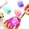Class 302 - Makeup Brush Cleaner