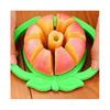 Vegetable Fruit Cutter Slicer Apple Corer Tool