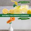 9Pcs Planting Propagation Buddy Silicone Planting Shoot Support 3 Cute Styles Vase Holder Plant Care Tools Garden Accessories
