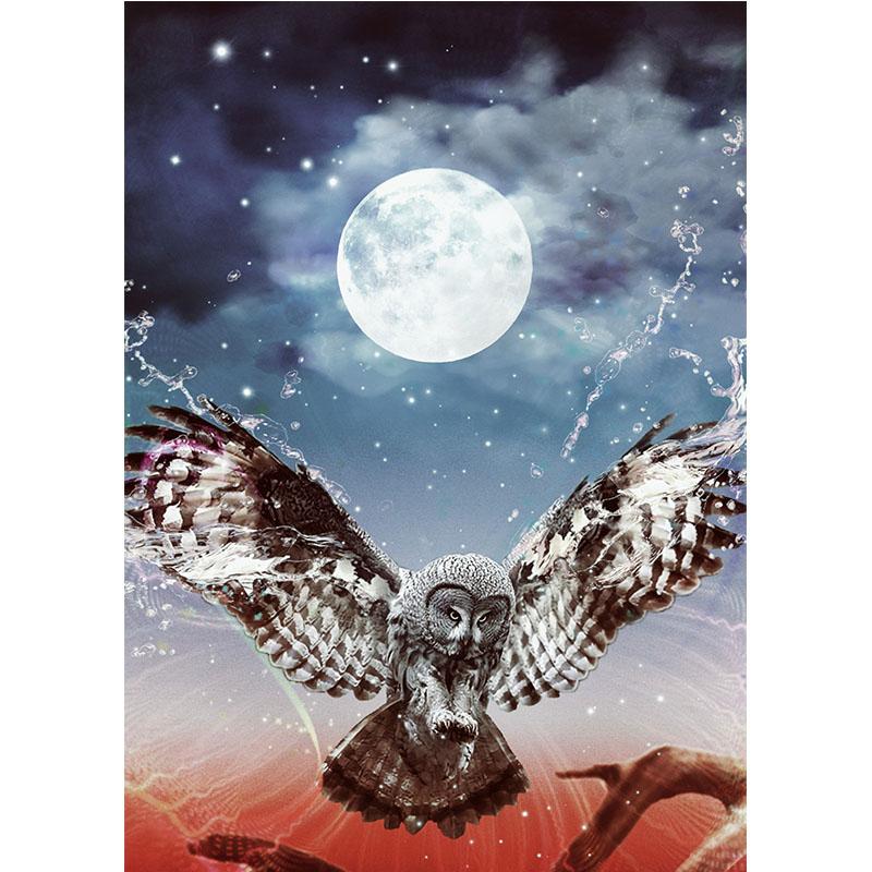 Owl DIY 5D Diamond Painting Cartoon Diamond Animal Diamond Embroidery Cross Stitch Full Round Resin Manual Art Gift Home Decor
