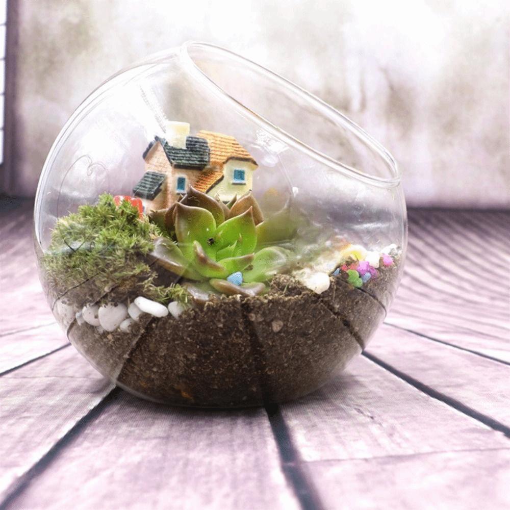 Oblique Clear Glass Ball Vase Clear Succulents Plant Container Borosilicate Glass Vase  Hydroponics