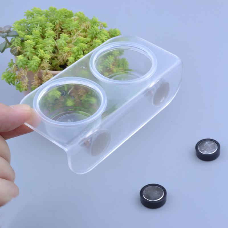 

Bearded Dragon Feeder Gecko Water Dish Easy-Clean Water Feeder For Lizard Turtle Bearded Dragon Tortoise Fish Tank Decor China Mainland