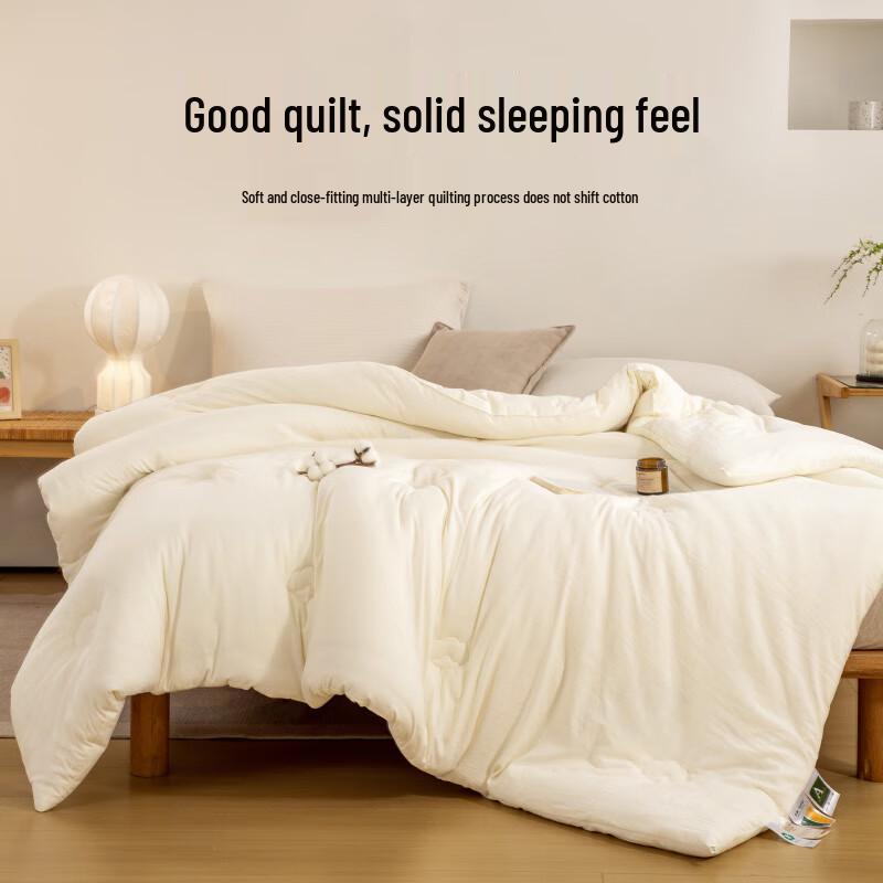 Muji A-Class 100% Xinjiang Cotton All-Season Quilt