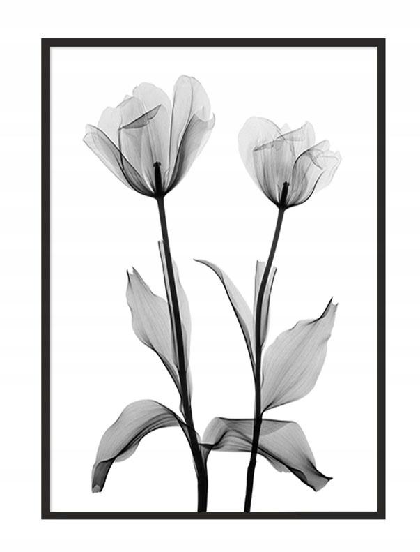 Picture poster In a frame 53x73 cm Flowers P1042
