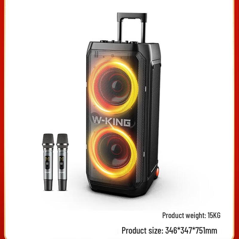 W-King T12 Portable Party Speaker with Karaoke & RGB Lights CN Plug (adapter Included)