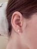 Engbrox [Silver925] Harmony Pearl Earring