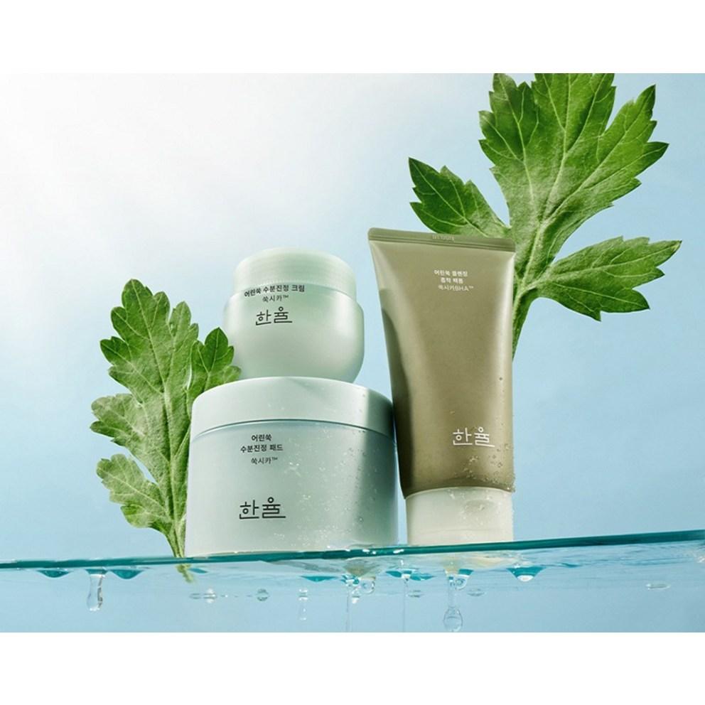 Hanyul Artemisia Beruhigende Feuchtigkeitscreme, 55ml