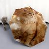 1 Pezzo Ombrello Pieghevole Automatico - Fantasia Gatto Carino, Design Portatile e Pieghevole con 8 Stecche, Regali di Natale e Compleanno