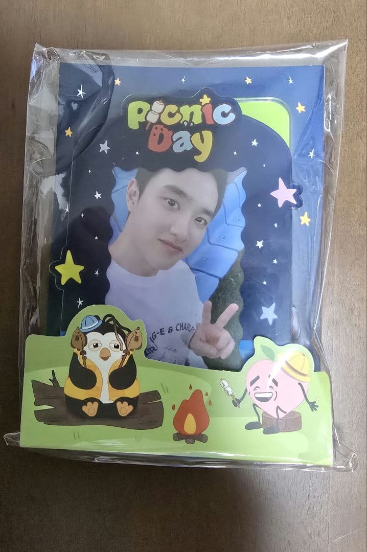 [USED] EXO Kyungsoo D.O. Picnic Day Acrylic Photocard Stand