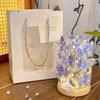 Romantic Qixi Butterfly Lamp Gift Set for Girls & Couples: Decor & Birthday Surprise