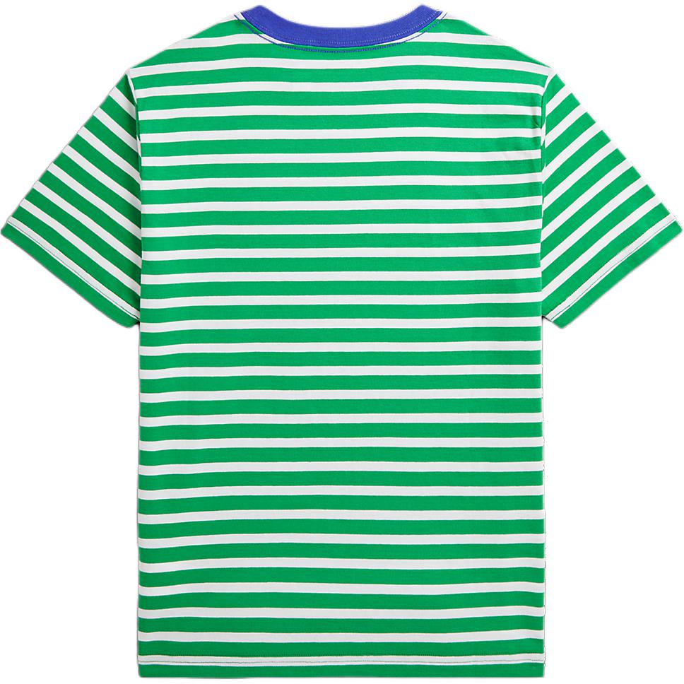 Polo Ralph Lauren Kids T-Shirt Brand Embroidered Striped Round Neck Short Sleeve Kids tops Green CWPOTSHY8020991-300