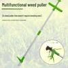 Weed Puller & Digging Tool: Manual Weeding & Wild Vegetable Remover