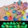 Leuchtende Niedliche Tier-Mini-Ornamente: Schildkröte, Bär, Hase - Handgefertigter leuchtender Schmuck