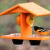 Yousheng Hanging Oriole Feeder, Outdoor Bird Feeder with Fruit Holder, Two-Cup Birdfeeder, Jelly And Fruit Feeder for Orioles Mockingbirds Backyard
