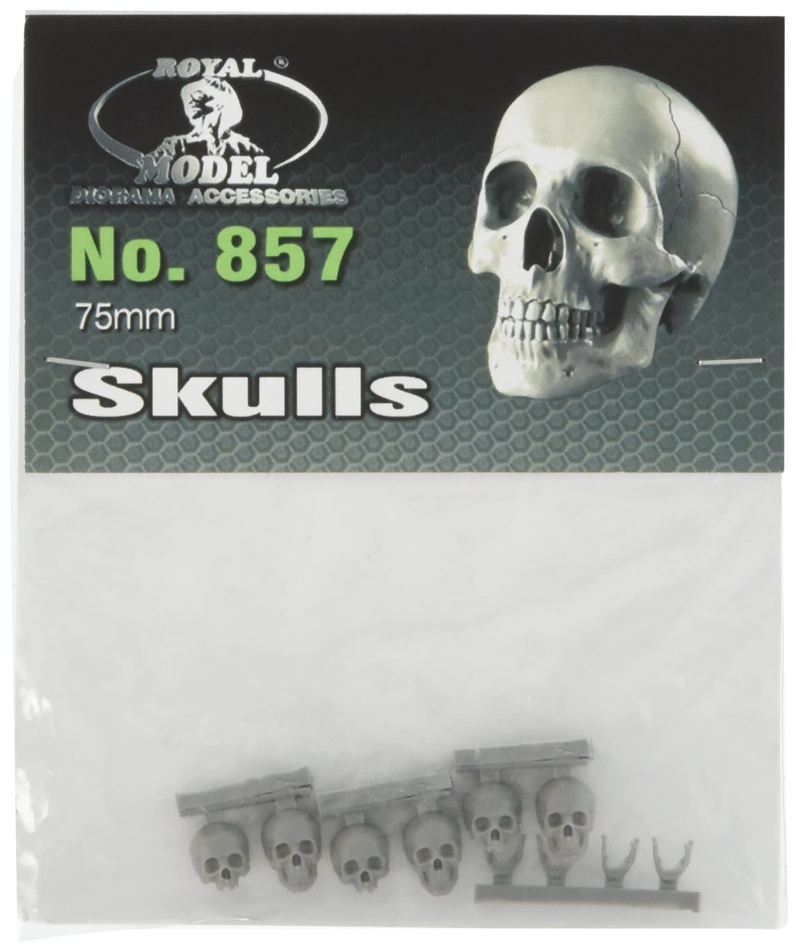 

Royal Model 1/24 Skull (75mm) 6-Piece Resin Kit RM857