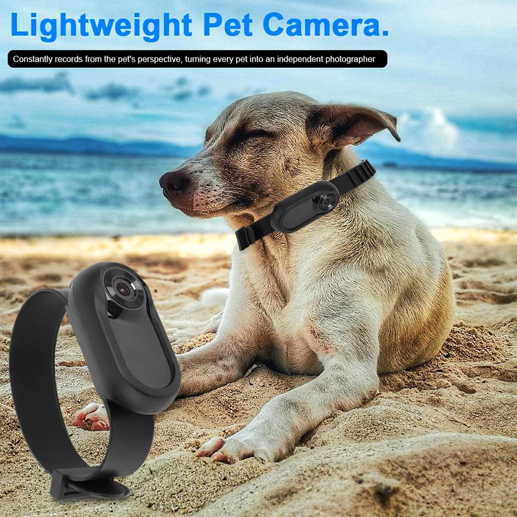1080P Haustierkamera Halsband Katzenhalsband Kamera 90 Grad Weitwinkel Hundehalsband Kamera Mini Sportkamera