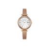 Eco-Drive Series Stainless Steel Rose Gold Plated Watch Women Watches White EW2447-89A