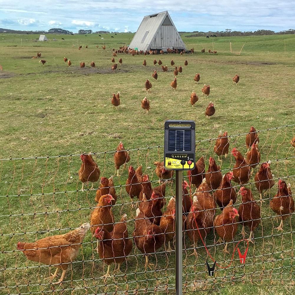 Solární drát pro plot k nabíječce 3 stopy 91 cm s krokosvorkami pro venkovní použití na farmách, zahradách a zeleninových záhonech