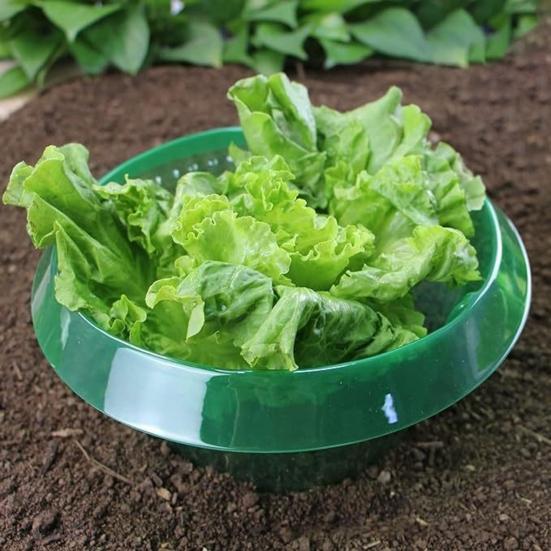 Slug Collars for Plants Vegetable Protector Plants Collar To Protect Vegetables from Slugs Garden Slug Snail Barrier Collar