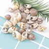 Shell Pendant Natural Sea Shells Aquarium Landscape Scallop Wind Chime Accessories Conch  Fish Tank