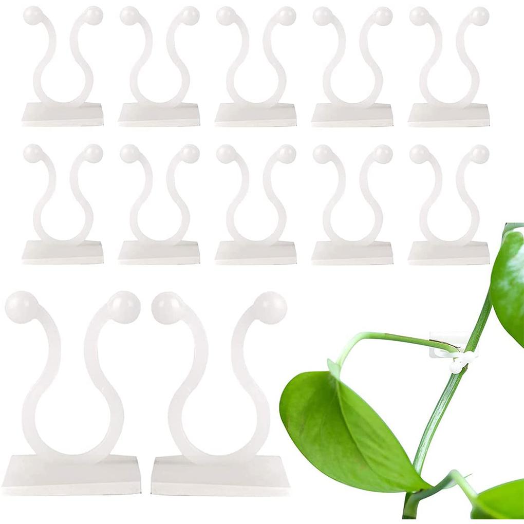 Plants Fixture Wall Climbing Fastener Wall-mounting Vine Supporting Hooks Fixing Gardening Clips Accessories Courtyard