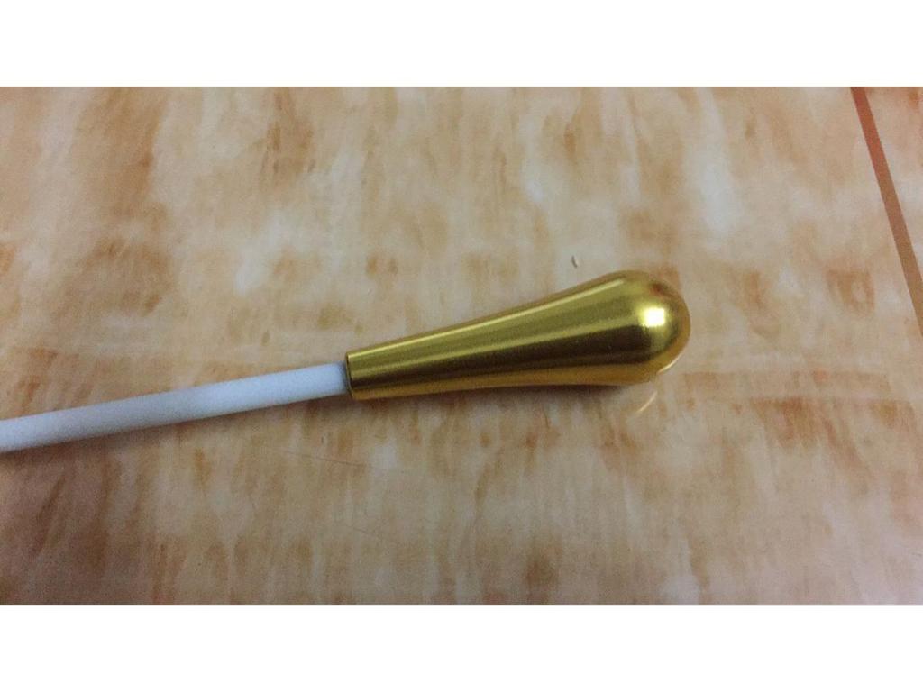 Elegant Gold and Silver Concert Conductor Baton