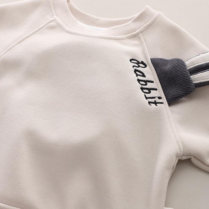 Autumn and Winter Boys Clothing Set New Children's Korean Edition Hooded Sweater Pants Two piece Set Girl Baby Velvet Set