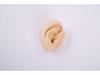 Silicone Ear Model for Training, Display & Ear Studs or Earphones