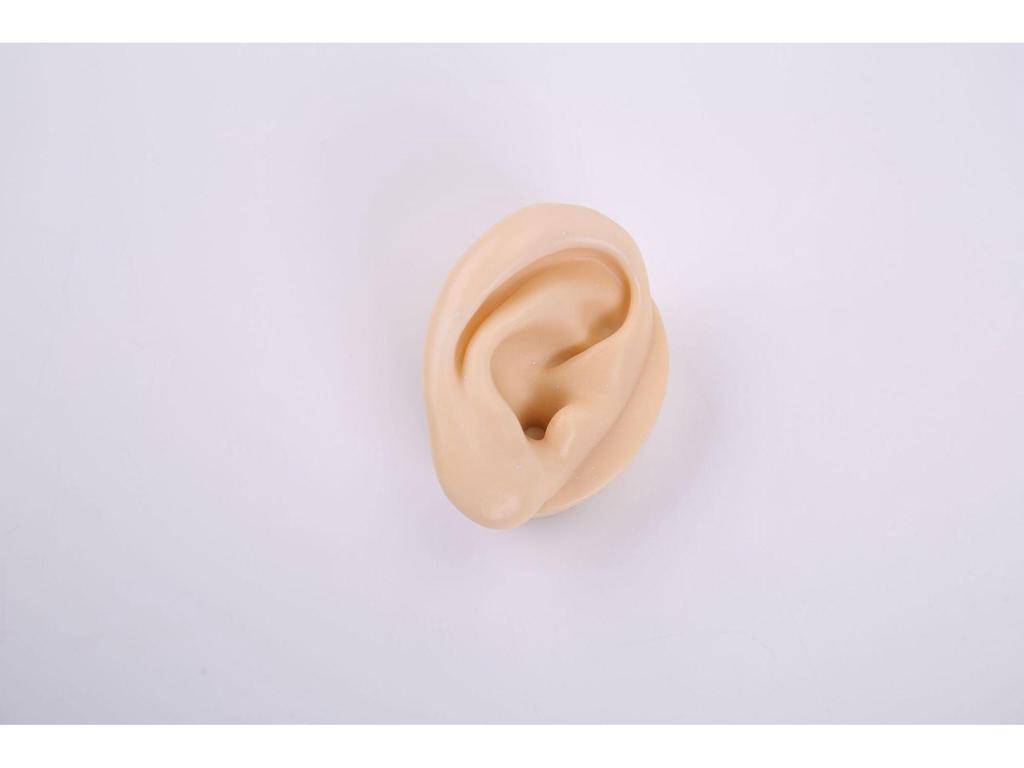 Silicone Ear Model for Training, Display & Ear Studs or Earphones