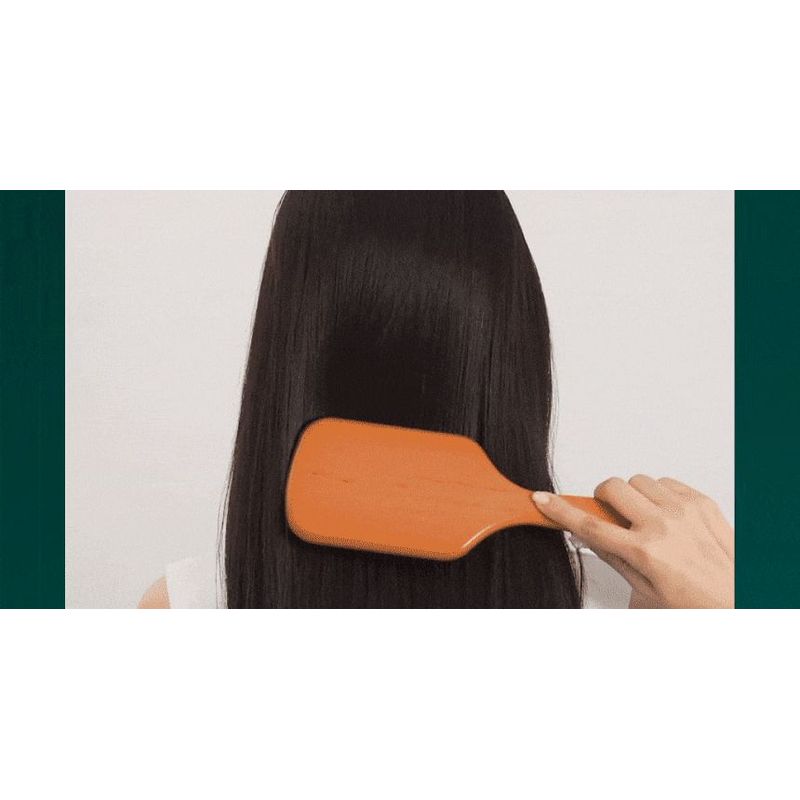 ViveLab Revi Solution Anti Hair Loss Scalp Shampoo