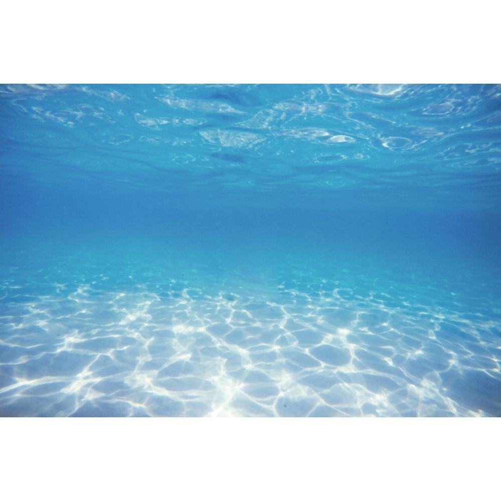 Underwater World Seabed Photography Backdrop Decor Ocean Undersea Fish Coral Baby Birthday Background Photo Studio Props Custom