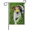 MOYYO Cute Jack Russell Terrier Dog Garden Flag 12 X 18 Inch Welcome Yard Garden Flag Double Sided Decorative Flag for Patio Lawn Outdoor Home Decor