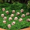 20 Pcs Smiling Skull Miniatures Resin Decor Skull Ornaments for Skull Figurines Planter Home Garden