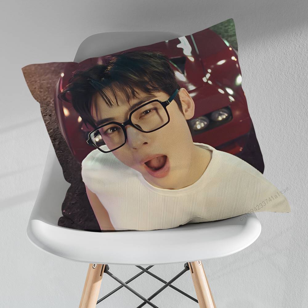 Sänger CCha EEunwoo Kissen über Wohnzimmer Sofa Kissenbezug Heimdekoration Schlafzimmer Zimmer Bett Kissenbezug