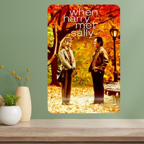 

When Met Sally Classic Movie Metal Poster Sign 20x30cm（7.8x11.8inch）