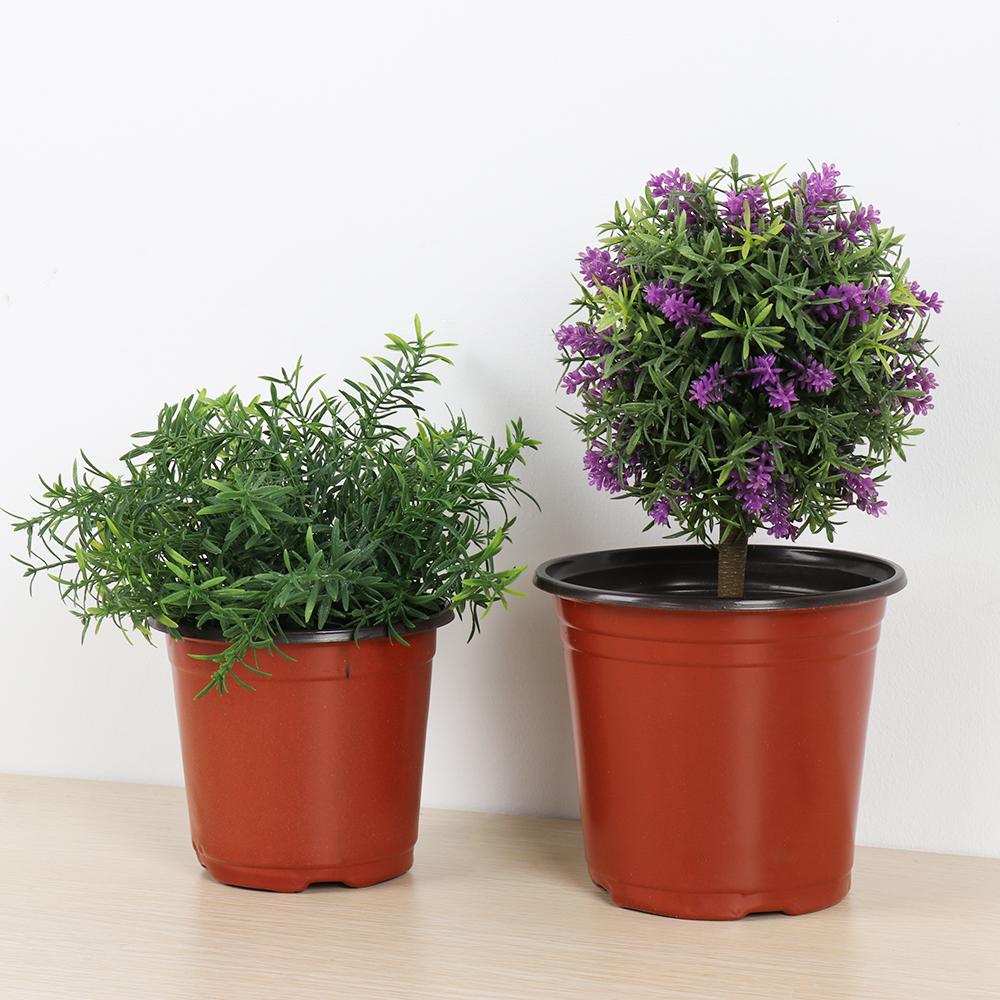 10pcs Garden Supply Mini Soft Plastic Terracotta Nursery Pots Round Planter Flower Vases Plant Trays