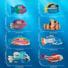 Bamboo Cute Ocean Animal Hair Clips: Tropical Fish & Cartoon Shark Claw Accessories.