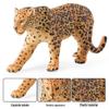 Wild Animal Toy Model: Cheetah, Jaguar, African Leopard for Children's Learning