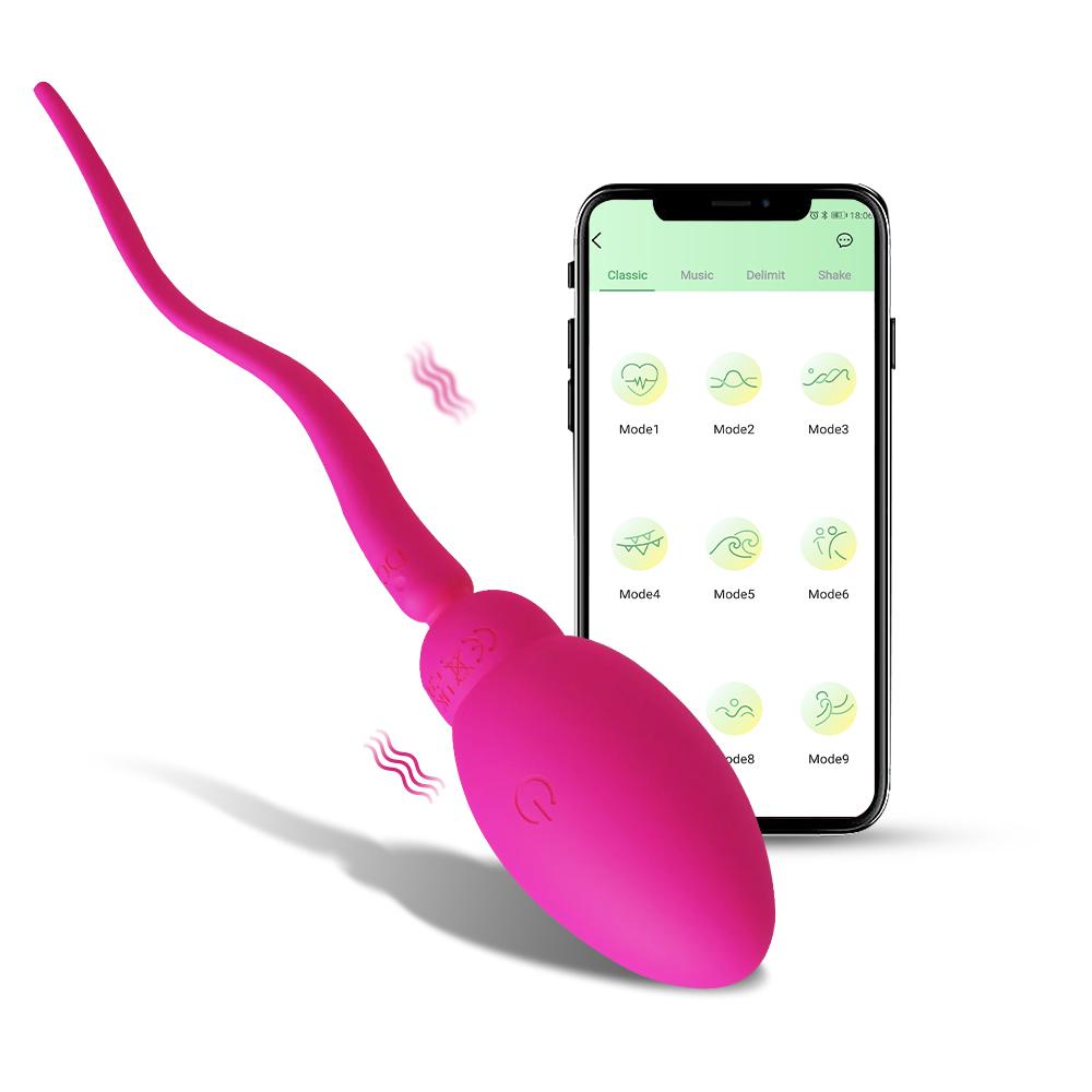 APP Bluetooth Control Panty Wearable Mini Vibrator for Women G Spot Massager Wear Vibrating Love Egg Female Sex Toys for Adults