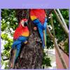 Botanical Resin Parrot Wall Hanging With Garden Style For Nature Decor
