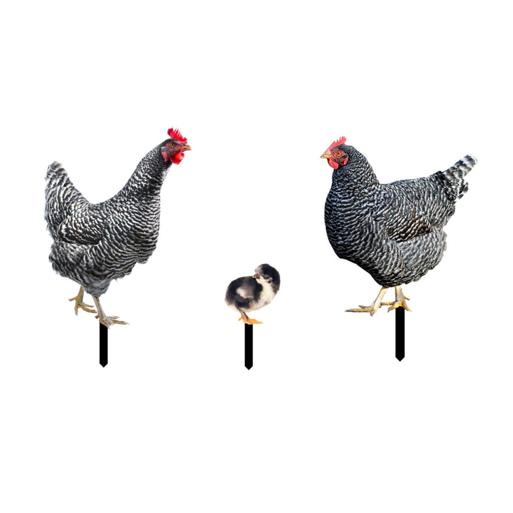 3 Pcs Outdoor Garden Chicken Statues Acrylic Rooster Hen Chicken Lawn Stakes