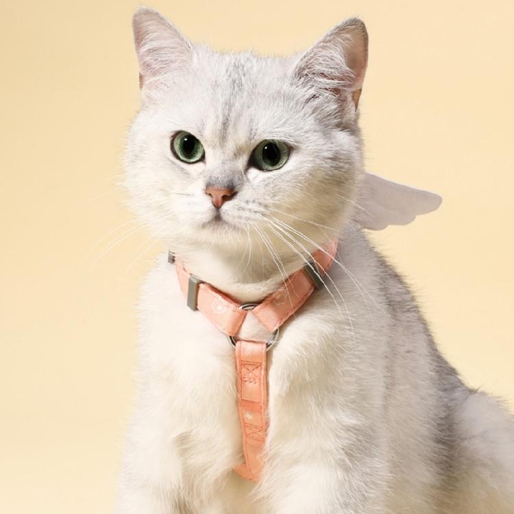 Cats Harness No-Pull Leashes Escape Proof 4 Feet Durable Leash for Small Dogs