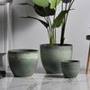 Qiaohao Shiguang Decorative Planters & Vases